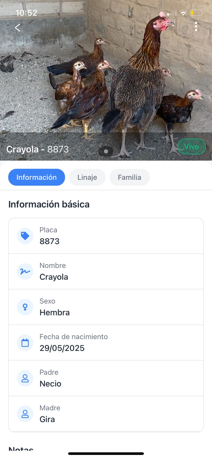 Árbol genealógico interactivo